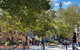 Walk To The City From This Renovated Heritage Gem - thumb 11
