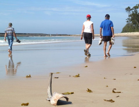 Mollymook Surfbeach Motel & Apartments - Food Delivery Shop 13