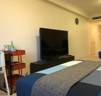 Lovely CBD Studio next to Central  Haymarket Chinatown - Pet Food Australia