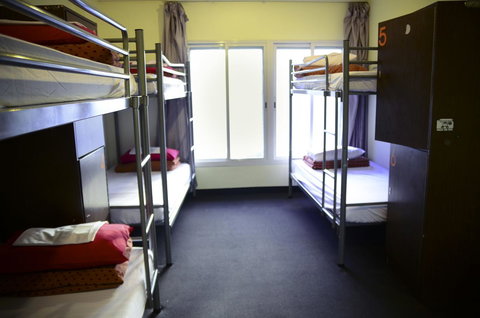 790 On George Backpackers - Pet Food Australia 8