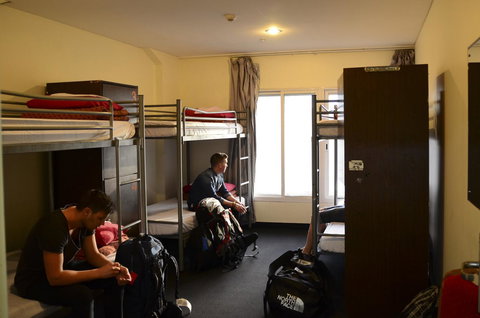 790 On George Backpackers - Pet Food Australia 4