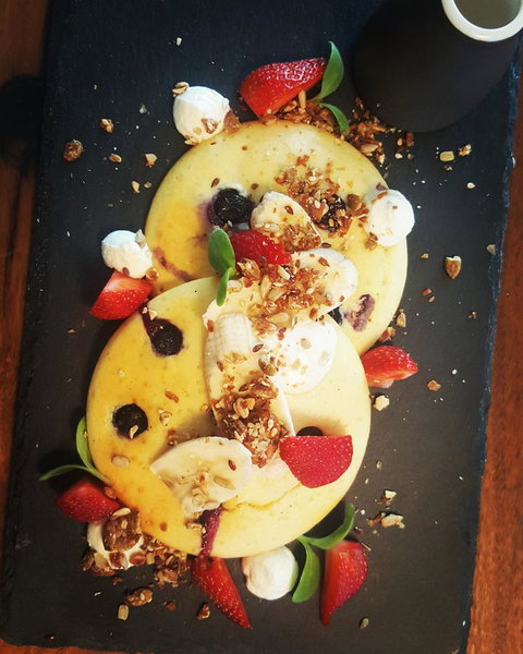 Hotel Indigo Sydney Potts Point, An IHG Hotel - Pet Food Australia 14