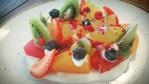 Hotel Indigo Sydney Potts Point, An IHG Hotel - Pet Food Australia 35