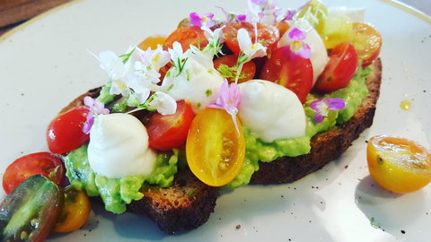 Hotel Indigo Sydney Potts Point, An IHG Hotel - Pet Food Australia 12