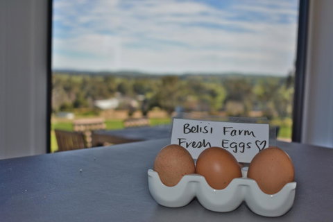 Belisi Farmstay Cottage - Food Delivery Shop 20