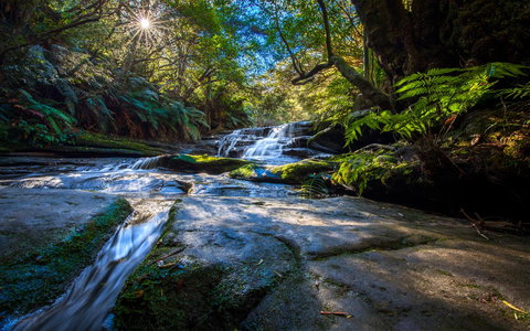 Sky Rider Motor Inn - Food Delivery Shop 6