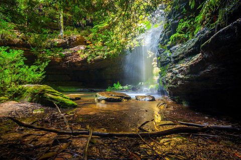 Sky Rider Motor Inn - Food Delivery Shop 23