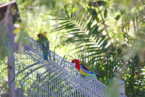 Marty's @ Little Beach - Pet Food Australia 27