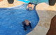 Beaches Serviced Apartments - thumb 14
