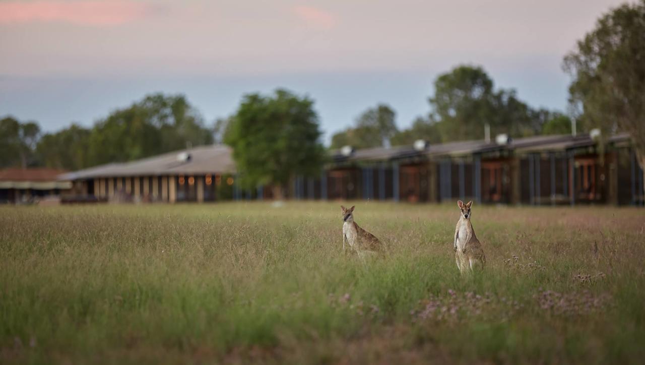 Daly River NT Food Delivery Shop