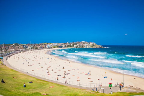 Bondi Beach Studio King Suite 1 - Food Delivery Shop 1