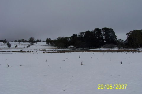 Brae Lossie - Food Delivery Shop 2