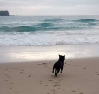 Breakers at Mudjimba Beach - Food Delivery Shop