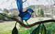 Bright Highland Valley Cottages - thumb 1