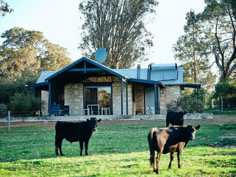 Burnside Organic Farm - Food Delivery Shop 2