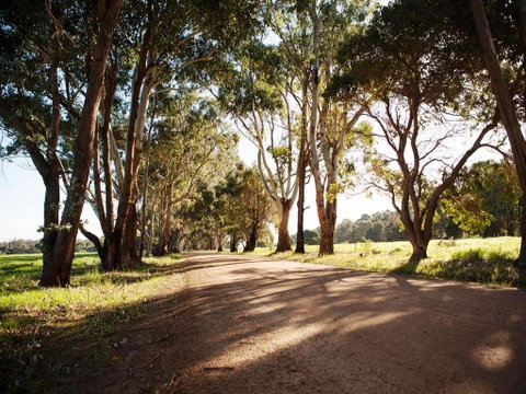 Bussells Bushland Cottages - Food Delivery Shop 1