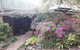 Charming Country House Close To Grafton - thumb 0