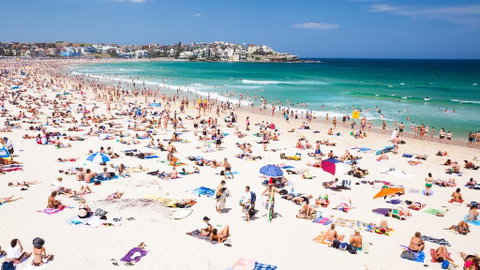 CLIFFSIDE: BONDI BEACH - Food Delivery Shop 0