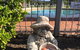 Colonial Motor Inn Pambula - thumb 0