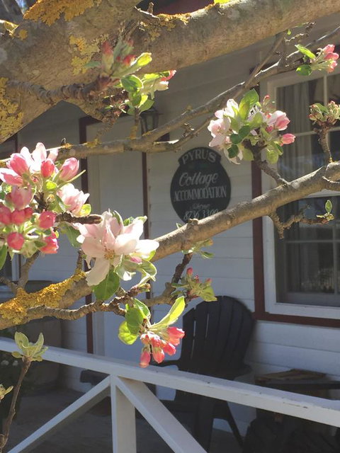 Coonawarra's Pyrus Cottage - Food Delivery Shop 3