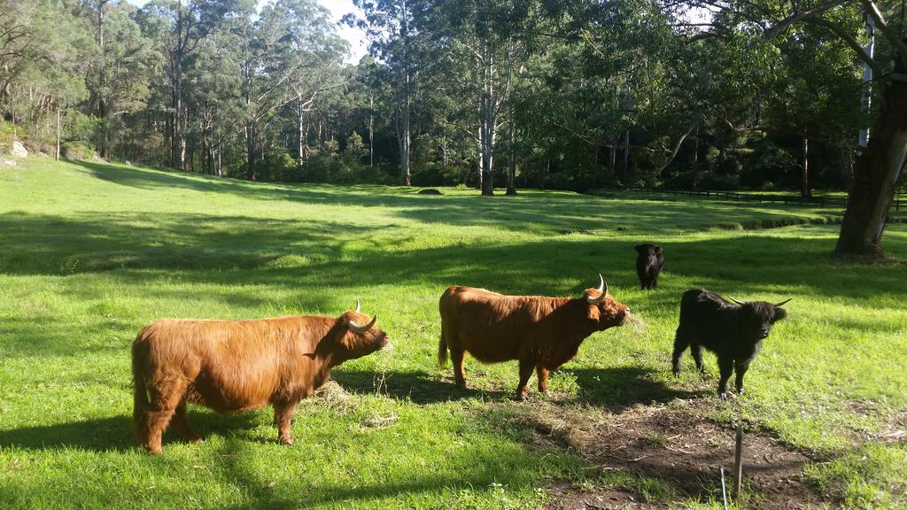 Annangrove NSW Food Delivery Shop