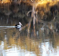 Euston Club Motel - Food Delivery Shop