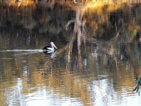 Euston Club Motel - Food Delivery Shop 0