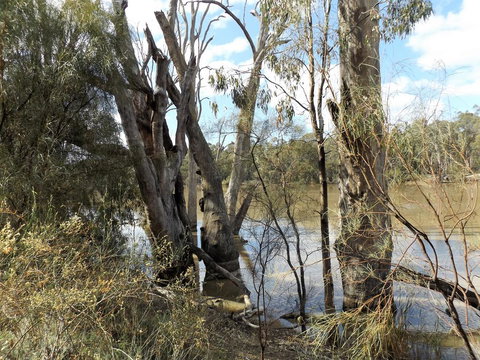 Euston Club Motel - Food Delivery Shop 3