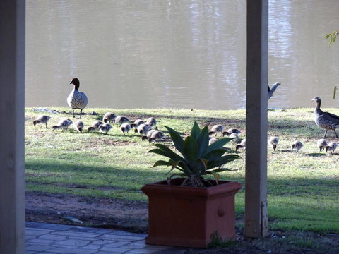 Euston Club Motel - Food Delivery Shop 1