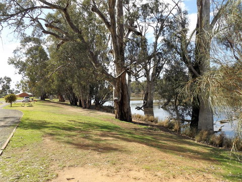 Euston Club Motel - Food Delivery Shop 2