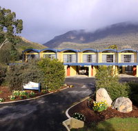 Five Clematis Views - Pet Food Australia