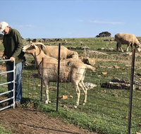 Gilgraves Vineyard Farmstay - Food Delivery Shop
