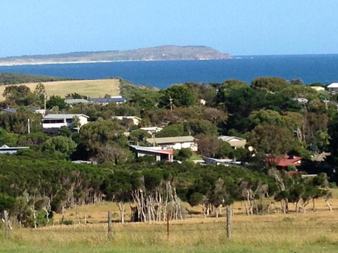 Grey Goose @ Smiths - Pet Food Australia 1