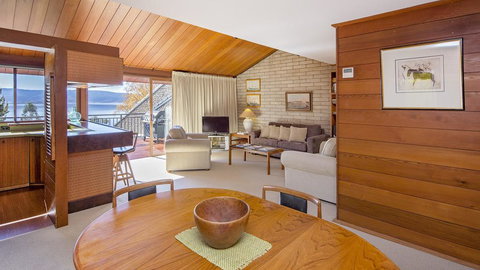 Grey Kangaroo- On Lake Jindabyne Foreshore - Pet Food Australia 2