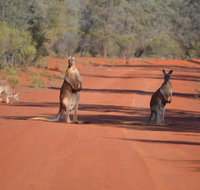 Gundabooka National Park Cottages - Food Delivery Shop