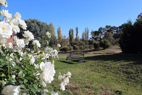 Gundaroo Manor Bed & Breakfast - Food Delivery Shop 2