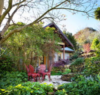 Hills End Camellia - Food Delivery Shop