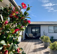 Homely Getaways in Surf Beach - Pet Friendly - Food Delivery Shop