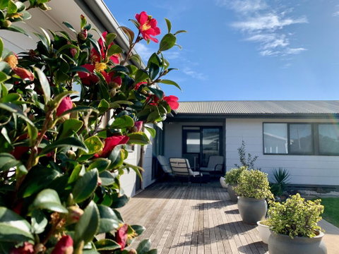 Homely Getaways In Surf Beach - Pet Friendly - Food Delivery Shop 0