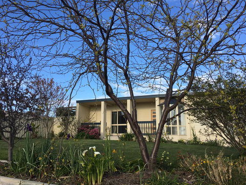 Island Daydreamer - Food Delivery Shop 2