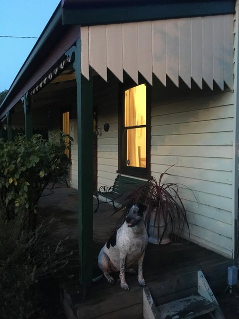 Kaikora Seaside Cottage - Food Delivery Shop 1