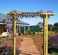 Lavendale Farmstay and Cottages York - Food Delivery Shop