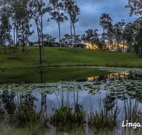 Linga Longa Spiritual Retreat - Food Delivery Shop