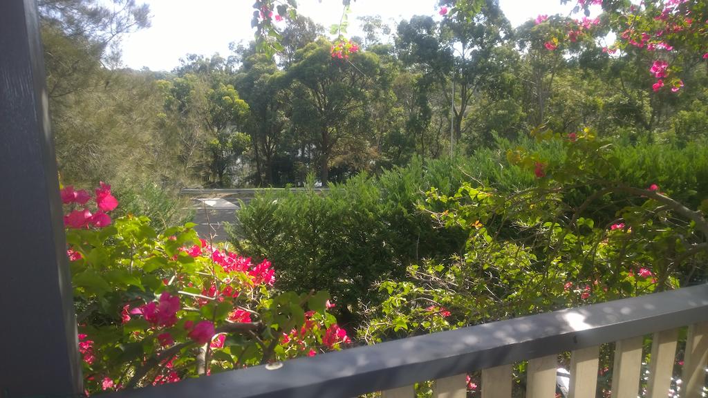 Linley Point NSW Food Delivery Shop