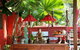 Mai Tai Resort - thumb 3