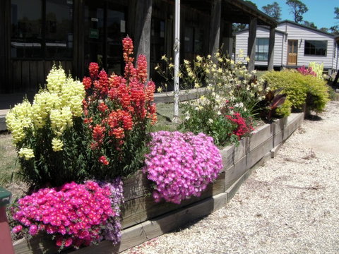 Mansfield Holiday Park - Food Delivery Shop 3
