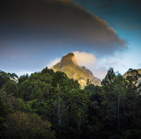 Mavis's Cabins @ Mt Warning - Food Delivery Shop 1