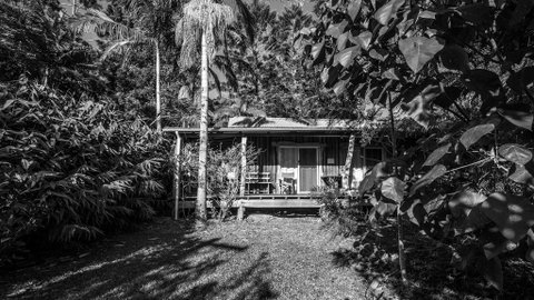 Mavis's Cabins @ Mt Warning - Food Delivery Shop 2