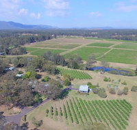 McCaffrey's Estate - Food Delivery Shop