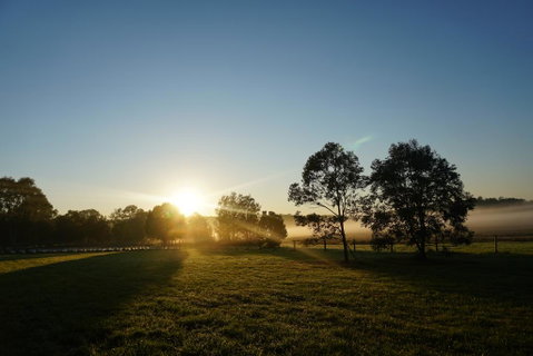 Narangba Motel (formerly Brisbane North B&B And Winery) - Food Delivery Shop 2